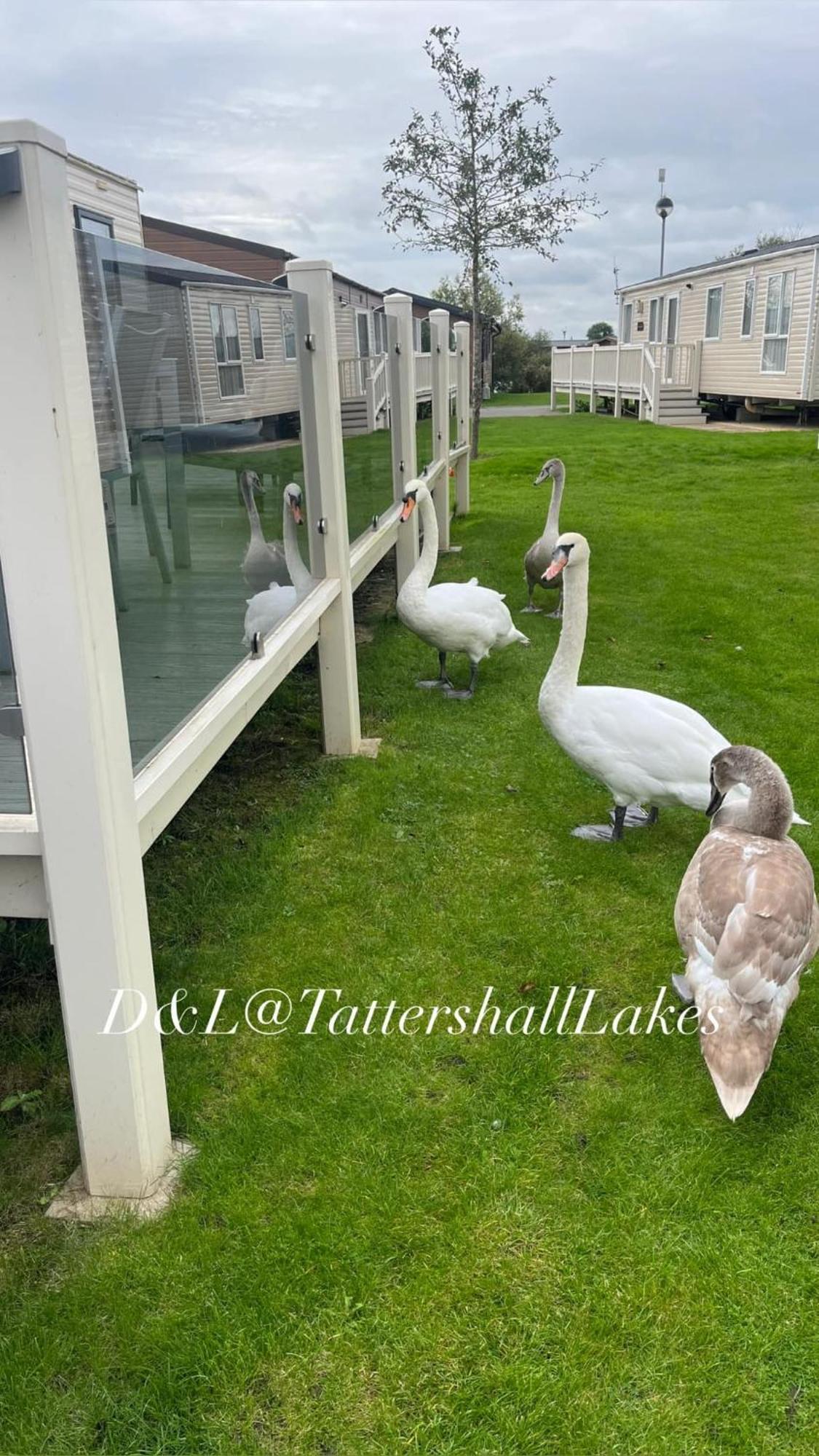 Lakes 8berth Caravan Break With Hottub * Tattershall